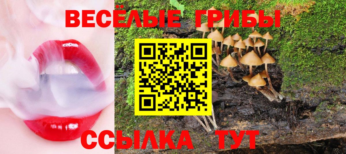 Псилоцибиновые грибы Magic Shrooms  Вход с VPN  Реж  Псилоцибиновые грибы Magic Shrooms 